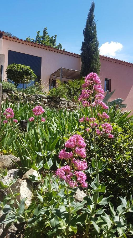 Bastide Cigaline Villa เลอโบสเซต์ ภายนอก รูปภาพ