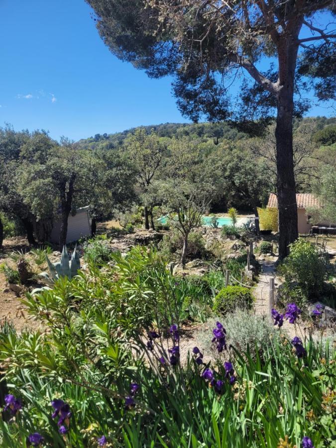 Bastide Cigaline Villa เลอโบสเซต์ ภายนอก รูปภาพ