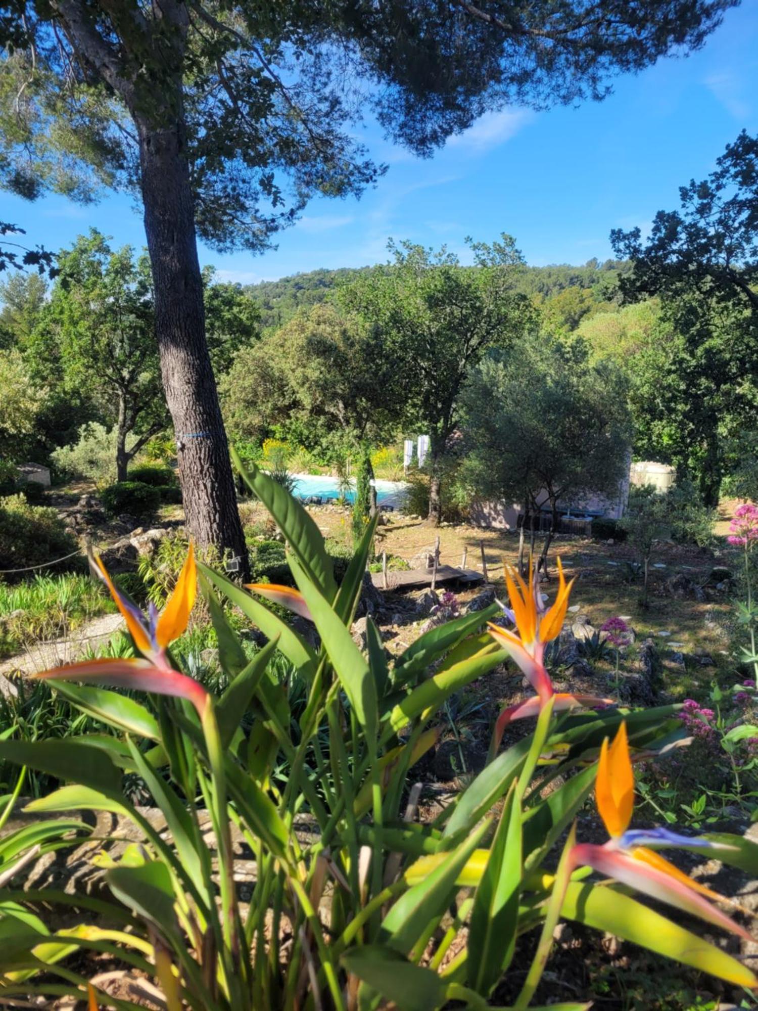 Bastide Cigaline Villa เลอโบสเซต์ ภายนอก รูปภาพ