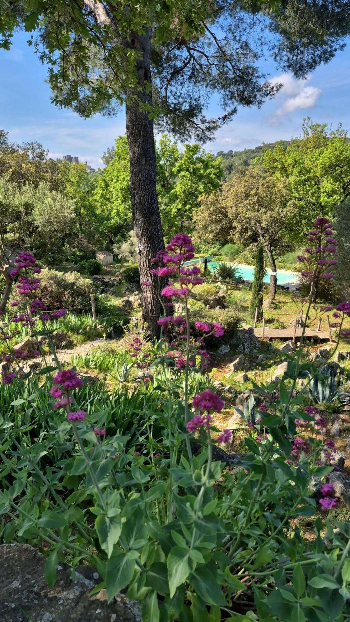 Bastide Cigaline Villa เลอโบสเซต์ ภายนอก รูปภาพ
